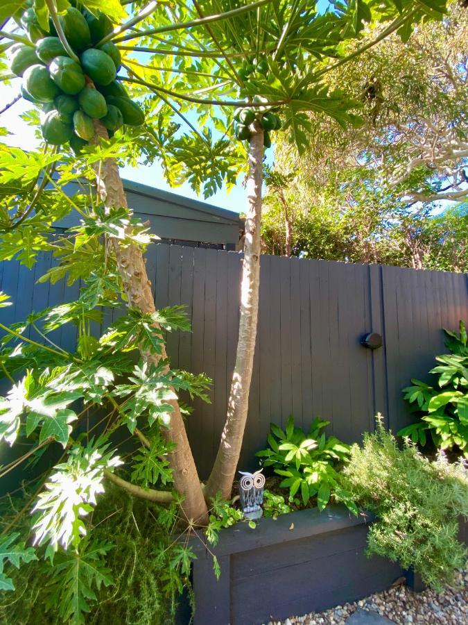 The Mitchell Bondi Garden 4 Apartment Sydney Luaran gambar
